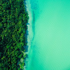 dji_export_1659468958553